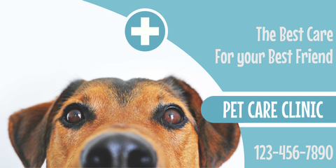 Best Care for Your Best Friend Pet Care Clinic Template